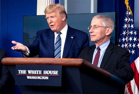 trump you know you are a fake